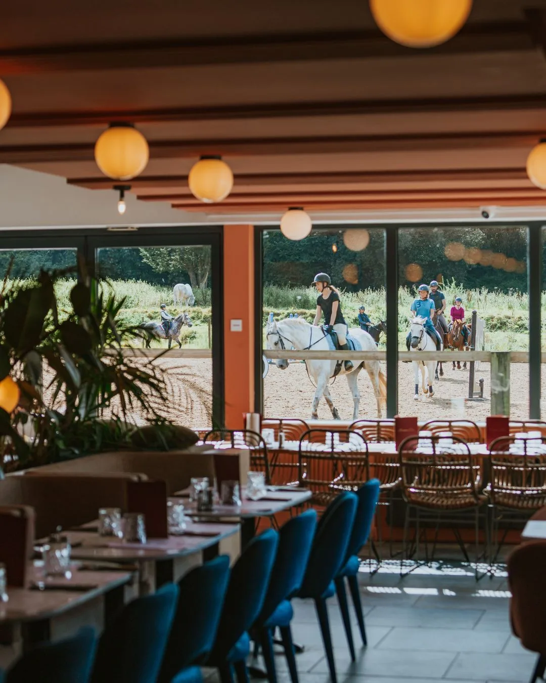 Salle du restaurant Mamma Mia avec chaises bleues et suspensions globes orangées, baies vitrées donnant sur les paddocks et les chevaux à l'entraînement
