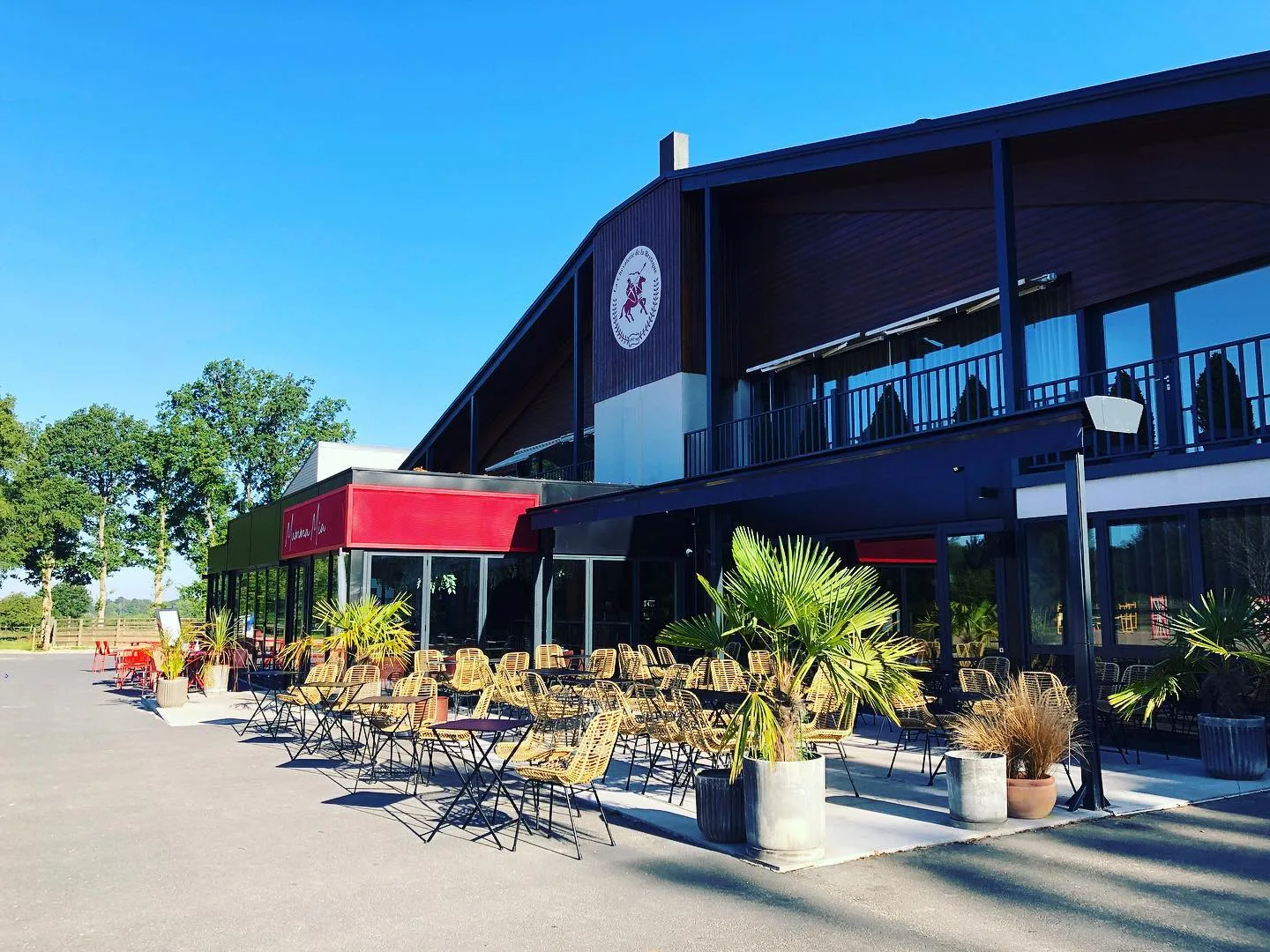 Grande terrasse extérieure du restaurant Mamma Mia avec mobilier en rotin et palmiers en pot, sous le ciel bleu de la Bretèque